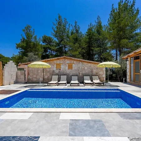 Casa De Sherys カシュ