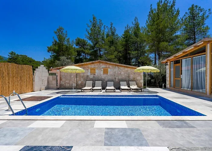 Casa De Sherys カシュ